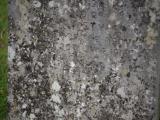 image of grave number 967024